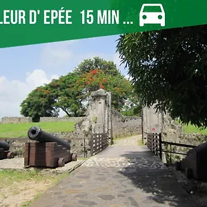 Le Nid Dor - De Standing , Le Gosier (Grande-Terre) Guadeloupe